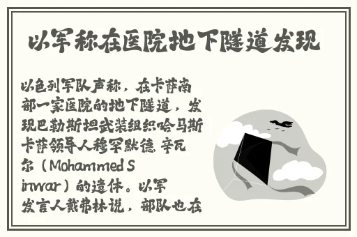 免费国外b站刺激战场视频app